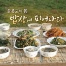 한국인의 밥상 - 세종특별자치시 | 한국인의 밥상
