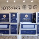 올리스24 명지점 이미지