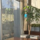 파크선샤인제주 이미지