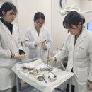 메타플란트치과의원 이미지