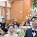 더베스트데이