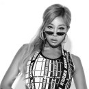 제시 카카오 검색결과