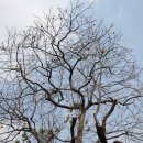 산성시장6 이미지