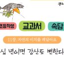 떡볶이이모 이미지