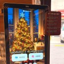 삼성2-107 | 삼성중앙역 돈까스 맛집 카츠선명 방문 후기