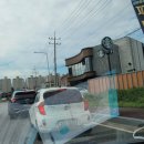 스타벅스 안성계동DT점 이미지