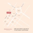 W13. 프리마베라 리허설메이크업 + 본식드레스 피팅 5벌 및 셀렉 후기