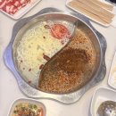 레몬 홀릭 복귀 &lt;9월로그&gt;!!