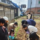 14기 농부학교-감자심기 습지 놀이터 만들기 이미지