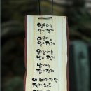 밥통밥 Daum카페