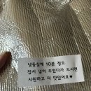 판다 프루츠