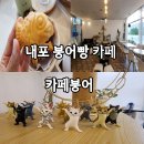 붕어카페 | 내포 아이와 가볼만한 붕어빵 전문점 카페 카페붕어 방문 후기