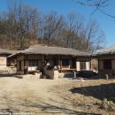 옛날에금잔디 이미지