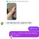 홍콩 1.3일치 낋여옴