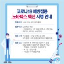 인제193번길 네이버블로그