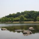H9381 Daum카페