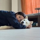 줄리 이미지