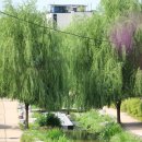 제민천1길 이미지