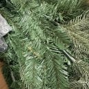 210 | 대형트리 루시아이 평생트리 210cm 내돈내산 후기 다사다난 설치기