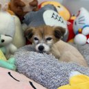 오늘, 더 예쁘게 이미지