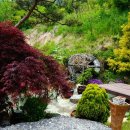 시온민박 이미지