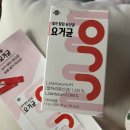 1000억 유산균 @ 내가 찾던 유산균 김치 요거균 후기