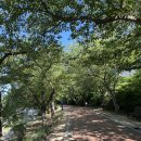 세븐일레븐보문점 이미지