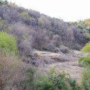 선산 뉴시스