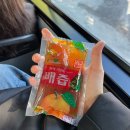 간절기 감기조심 하세요
