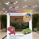 신정초등학교 병설유치원 이미지