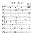 이미랑 / 흔들리며 피는 꽃 악보 이미지