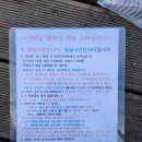 [캠핑장] 보령 - 어망골캠핑장 C1 후기+학성리공룡발자국(+천북굴단지까지 도보가능)