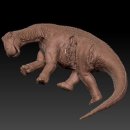 사르코수쿠스 이미지