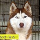 성주종합사료 이미지