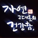 채선당 사직점 네이버블로그