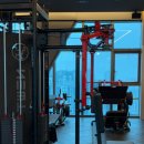 빌리브 패러그라프 피트니스 이미지