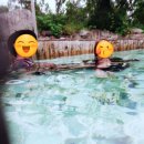 작은복골 이미지