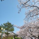 노추산힐링펜션 | 강원도 강릉 캠핑장 추천 노추산힐링캠프 솔직후기(모정탑길, 어반포레스트 헥사타프)