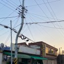 함라마트 이미지