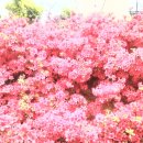 금석농장 이미지