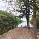 금바위저수지 | 양주 노지캠핑 노고산 금바위 저수지 완전 멋지다