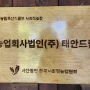 늘봄농장 | 충남 태안 가볼만한곳 ~ 안면도 &#39;놀샘터 농장&#39; 농촌체험 후기(ft. 태안 농산물 활용 고추장 만들기 체험)