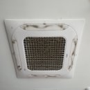 야채왕자 과일공주 이미지