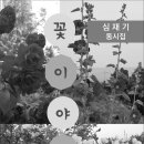이슬전자 Daum카페
