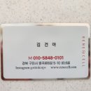 르네셀 이미지