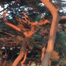 동문인쇄소 - 중구 대청로125번길 10 | 동문인쇄소
