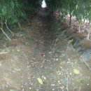 뽑기하우스 이미지