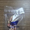 서울동물메디컬센터 이미지