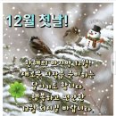 더파파고