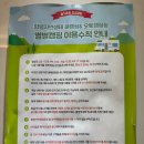 광주 근교 글램핑 함평 별별캠핑장 레이크존 카라반 솔직후기